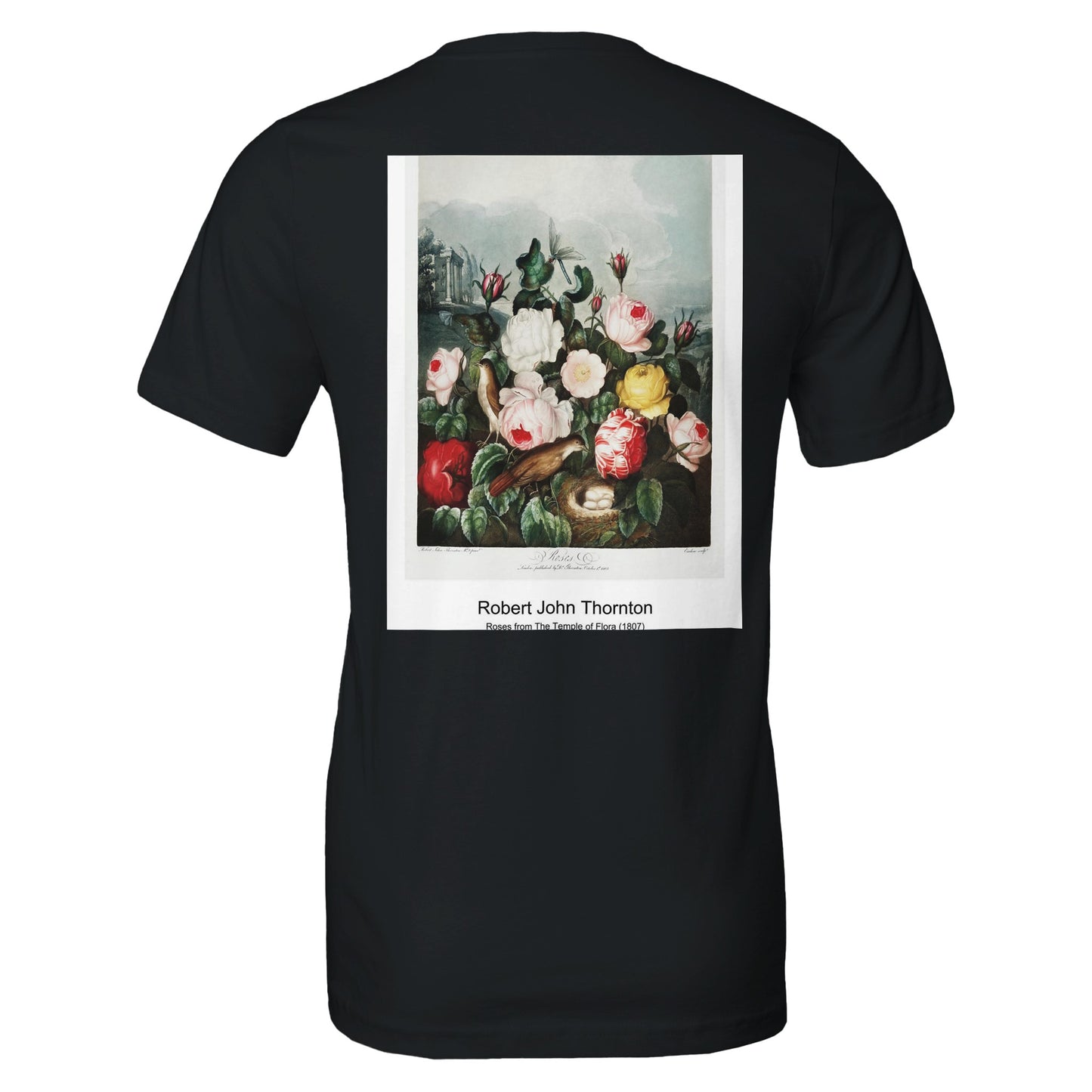 b3ae37c5-026d-409f-b171-b769ed8cf4eb