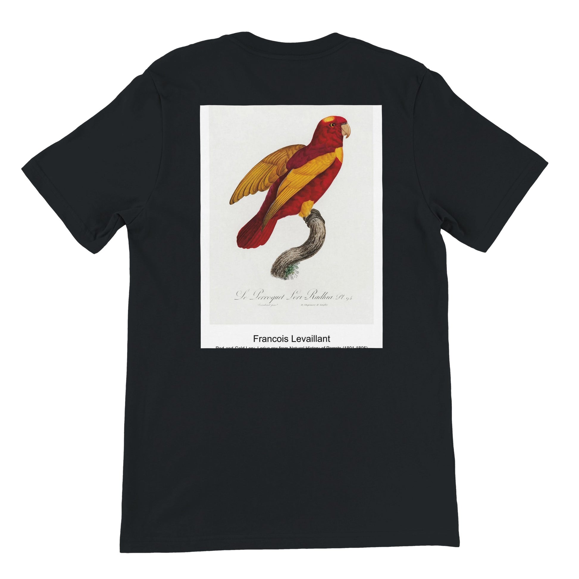 b3b08f52-21fe-4538-9d74-dd315aff8f6f