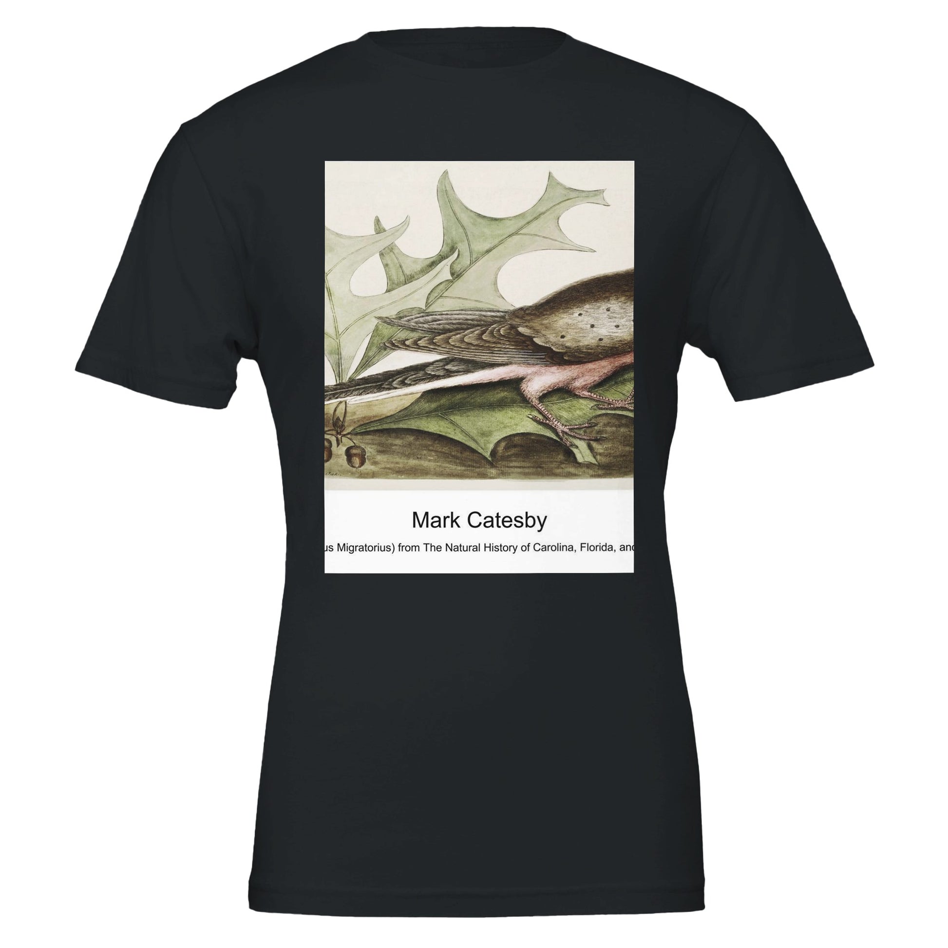 b4339dbe-cf66-4fda-b130-fd5f53a1bf50