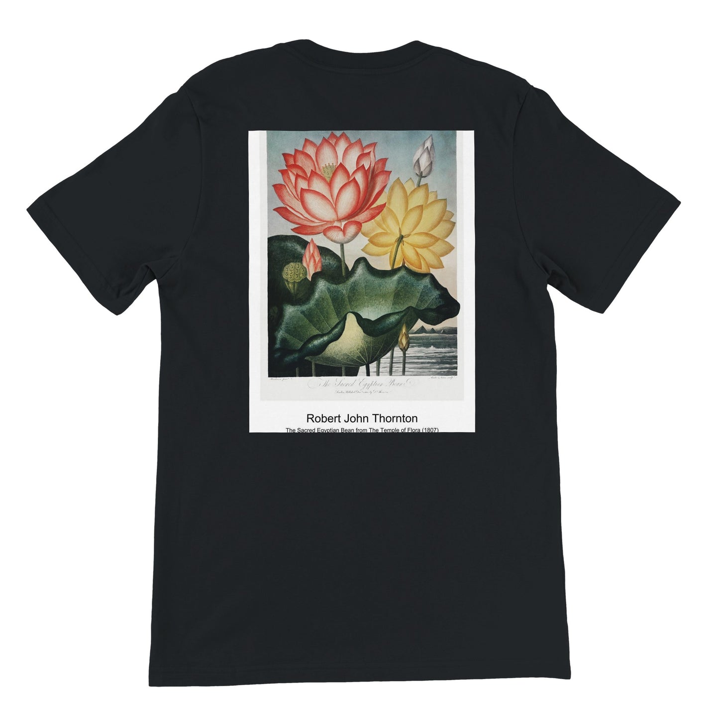 b456e336-549c-4d42-9a18-686f30c764f5