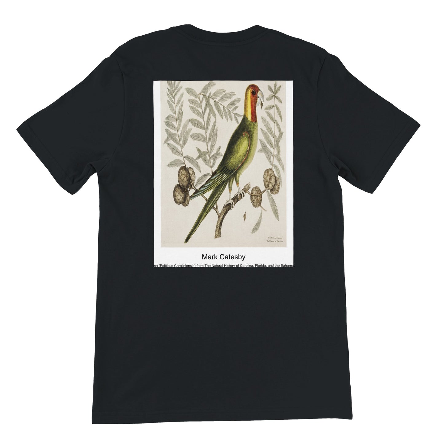 b459ccca-54b2-45a5-956f-1e2791f8f8e2