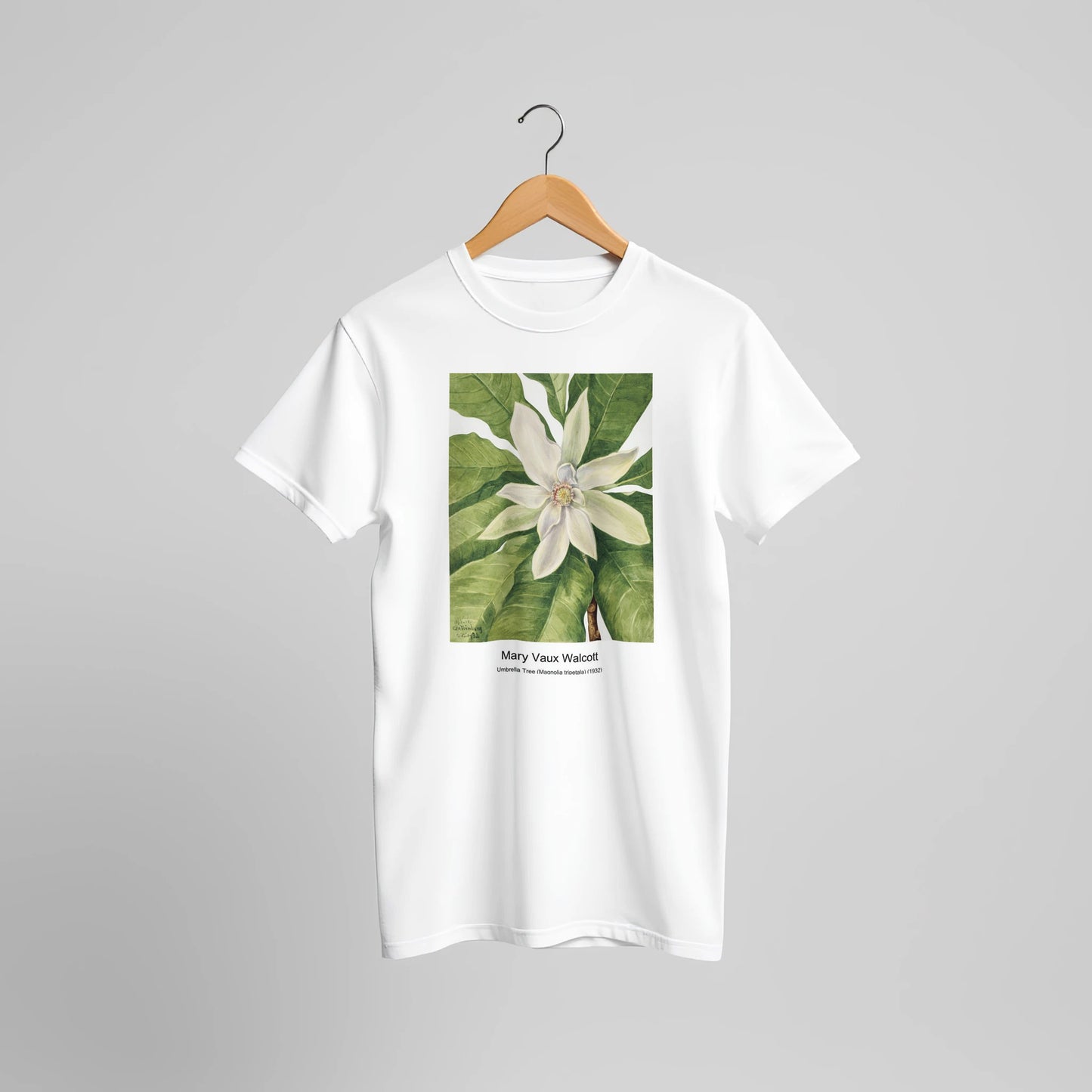 b5667c0c-f3ff-4e2b-ba05-14c0d7a651a2