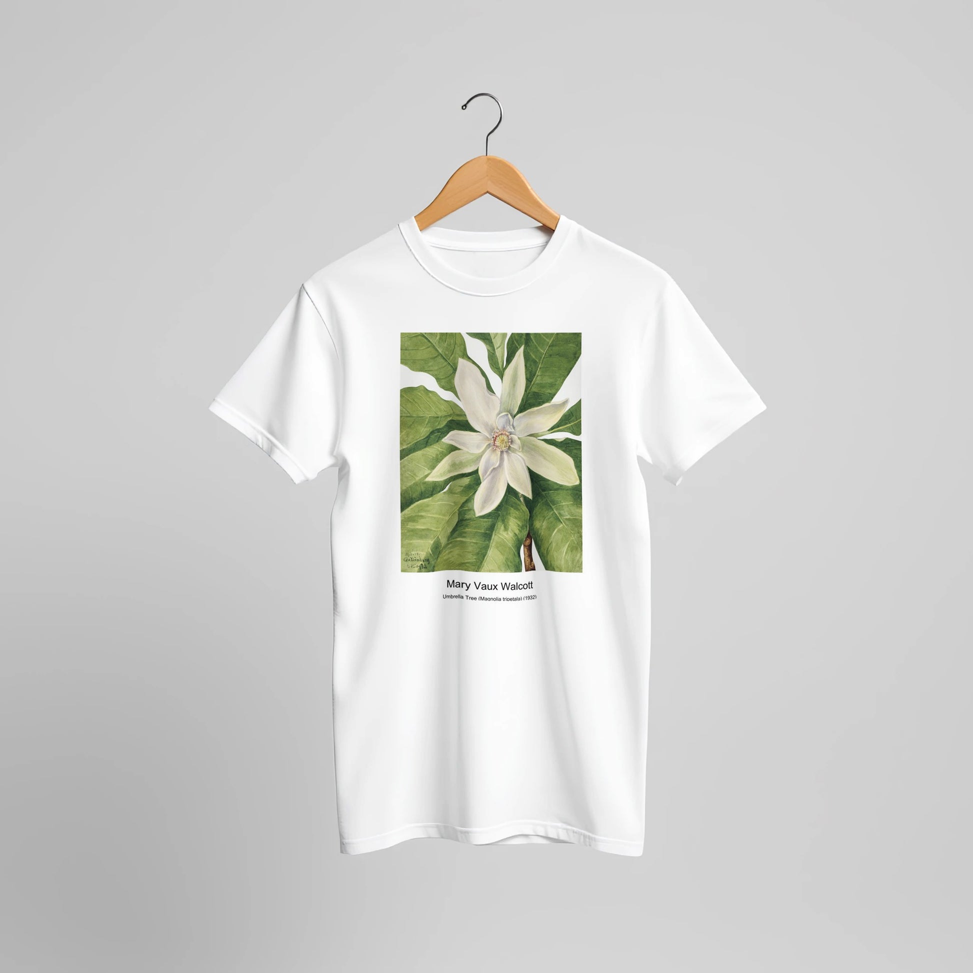 b5667c0c-f3ff-4e2b-ba05-14c0d7a651a2