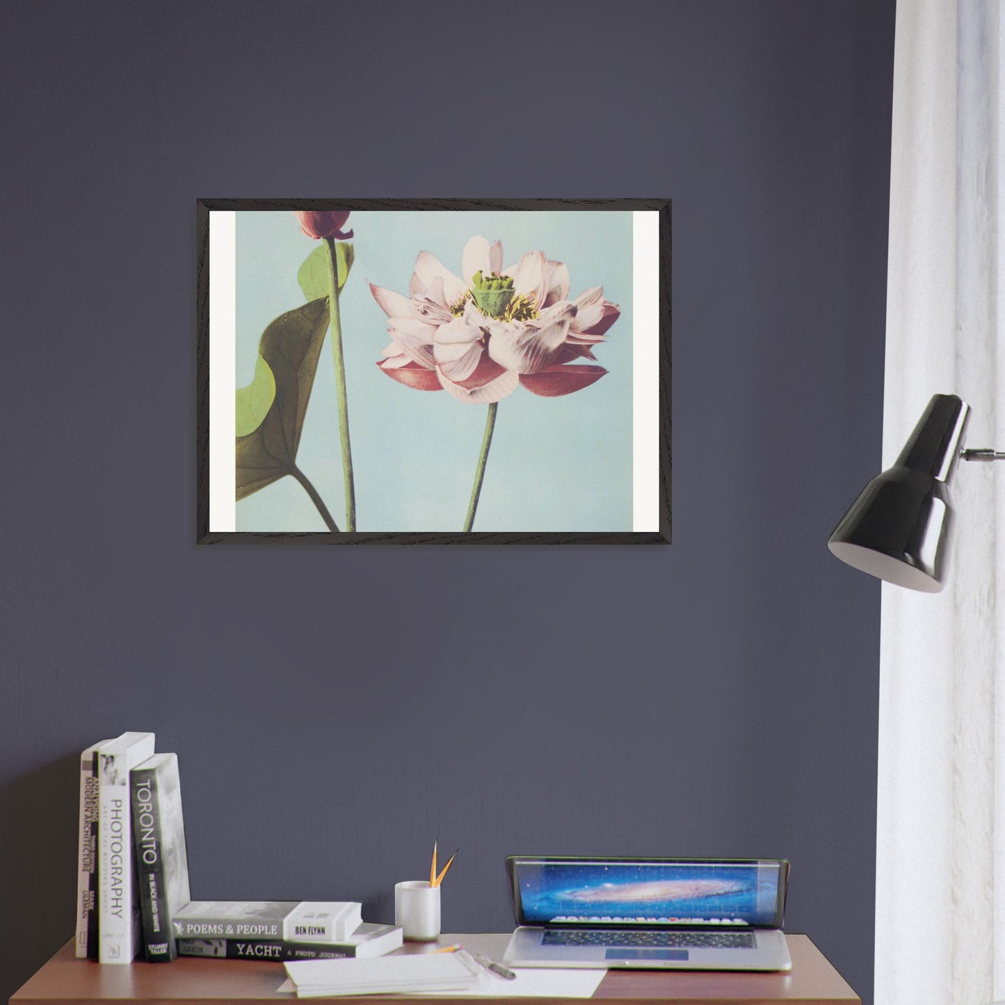 b580ace7-9095-44e2-9d92-303a21dd1eea