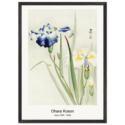 Kingfisher in the snow (1925 - 1936) by Ohara Koson. Archival Print on Museum Quality Matte Paper. Premium Wood Framed Wall Art. Optimised Aspect Ratio.