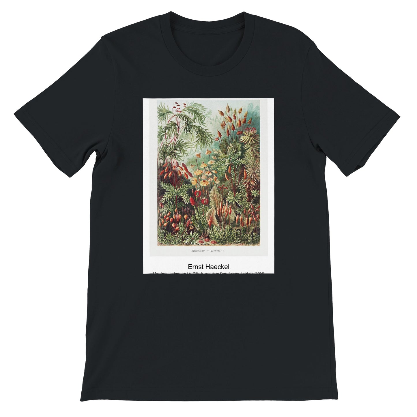 b6153a61-7d29-406a-919a-59f70f99ac8c