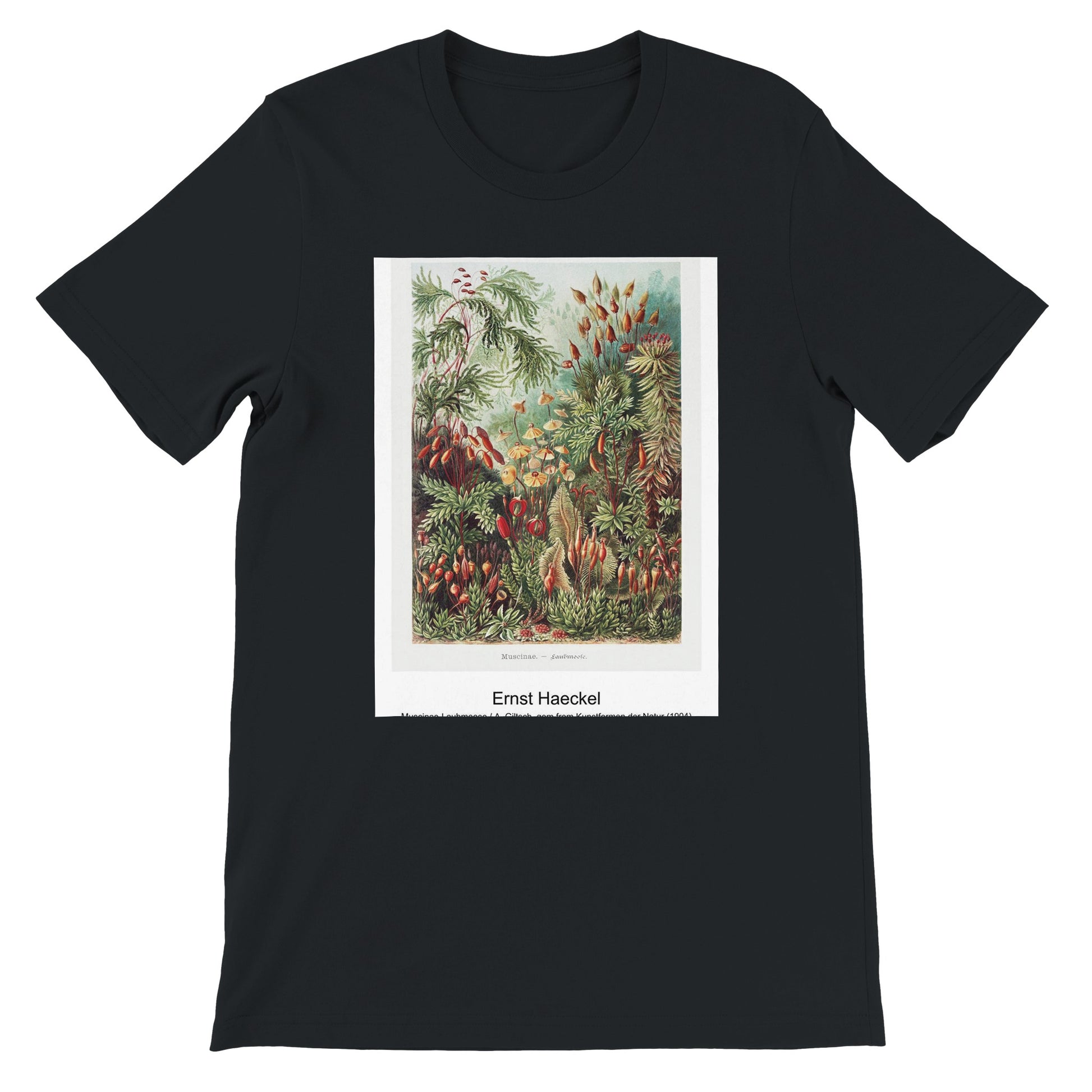 b6153a61-7d29-406a-919a-59f70f99ac8c