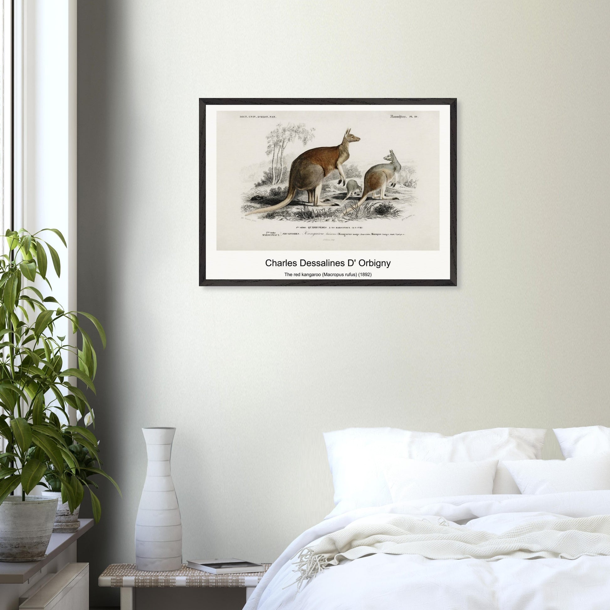 b7740b21-e22e-419a-88f3-a55d74fab52c