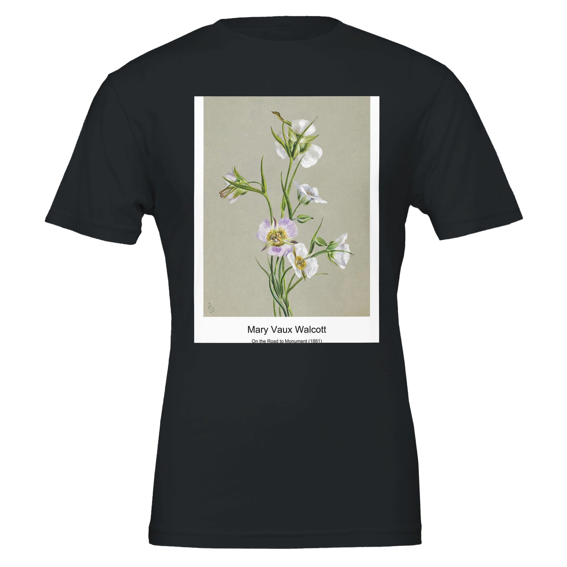 b78dcabb-6f8e-4d6c-bbfe-ae4e1f25d1db