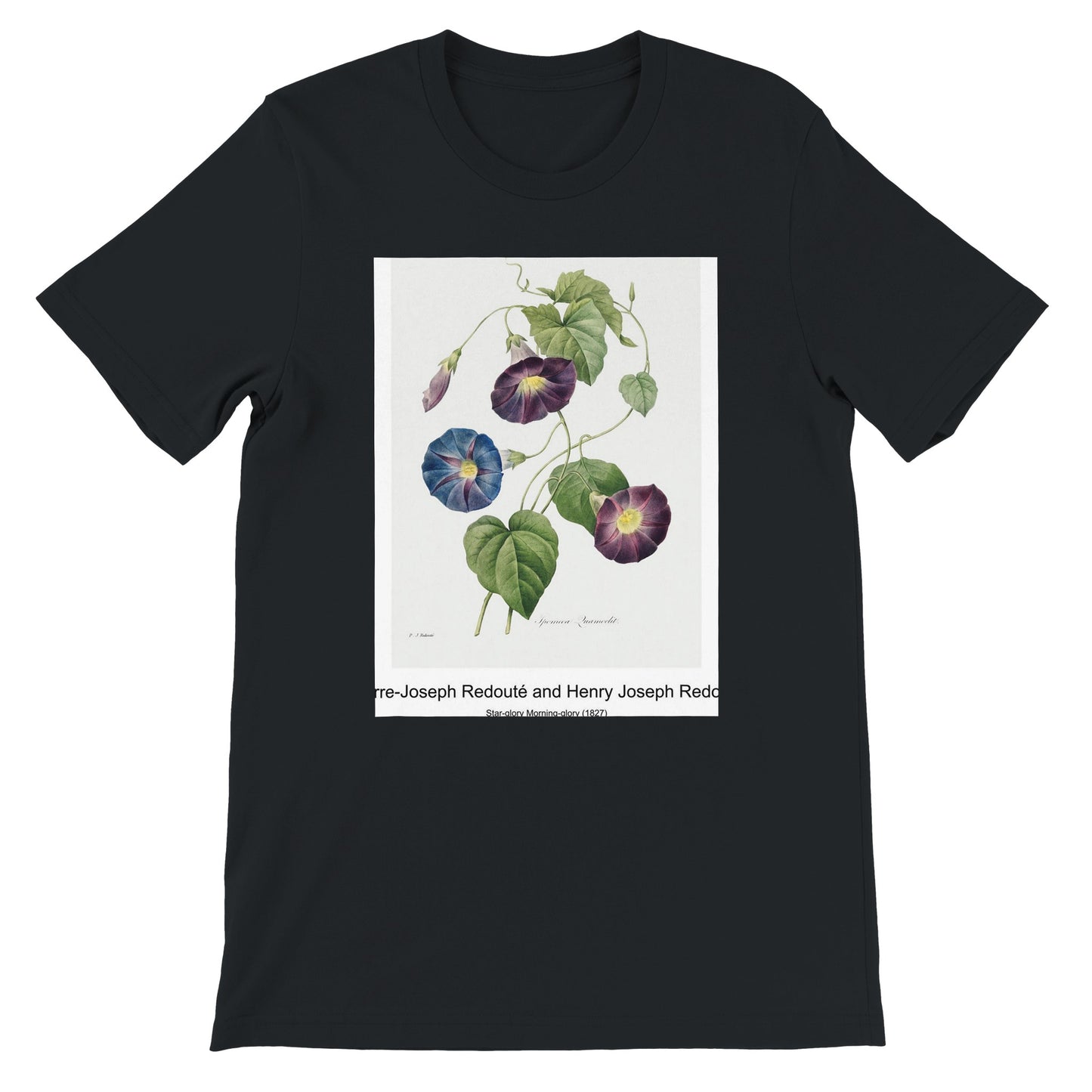 b8398cb4-2056-4b27-9483-a21614076d93