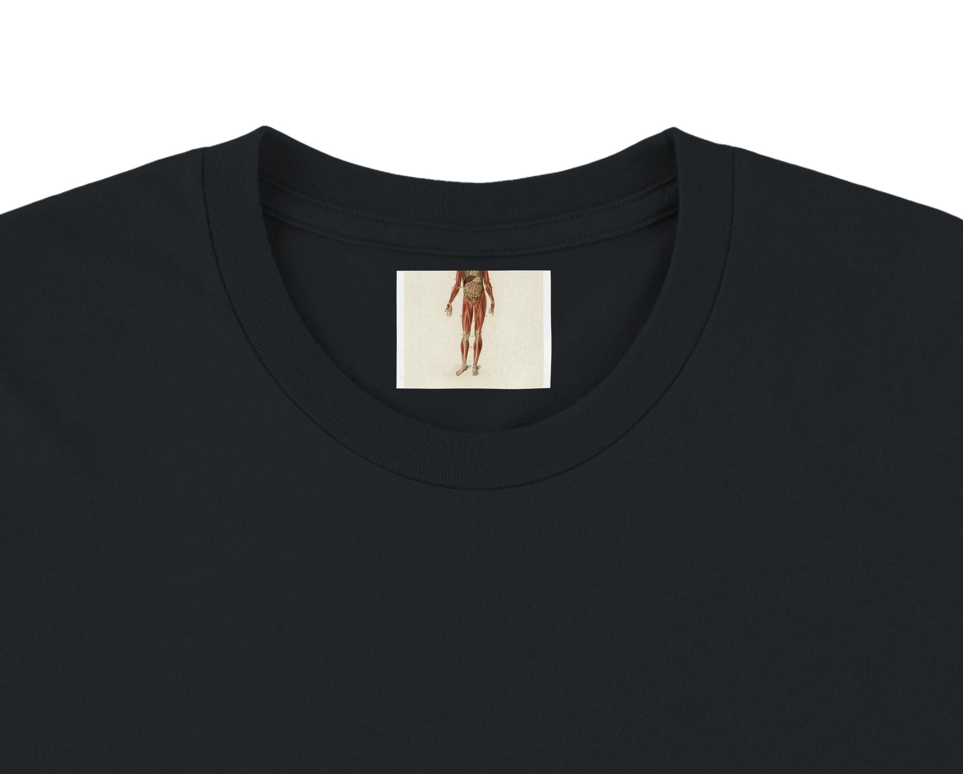 b8fcb9e8-2e8b-4f1d-bfad-05c5fb171cca