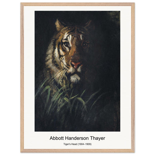 Tiger's Head (1904–1909) by Abbott Handerson Thayer. Archival Print on Museum Quality Matte Paper. Premium Wood Framed Wall Art. Optimised Aspect Ratio.