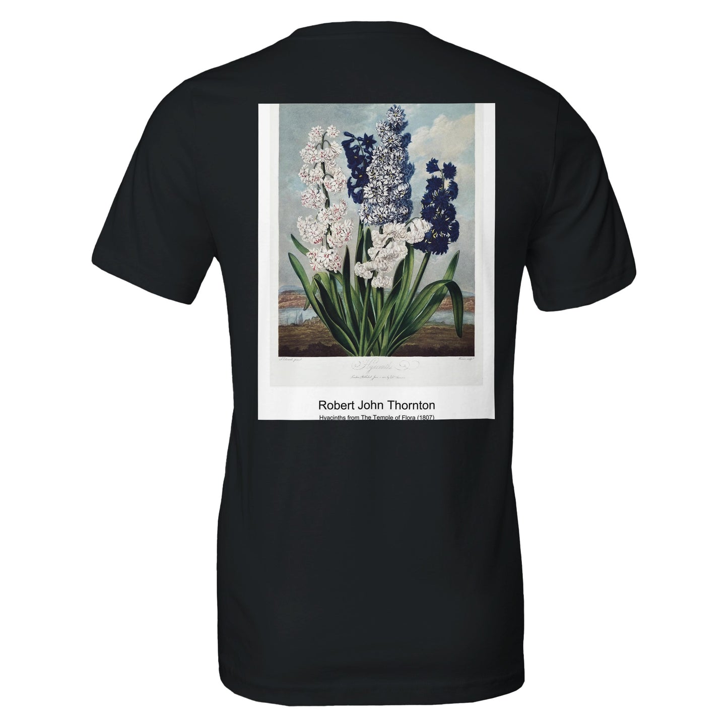 b96b77b5-65b6-4682-8f58-03583a9eed23