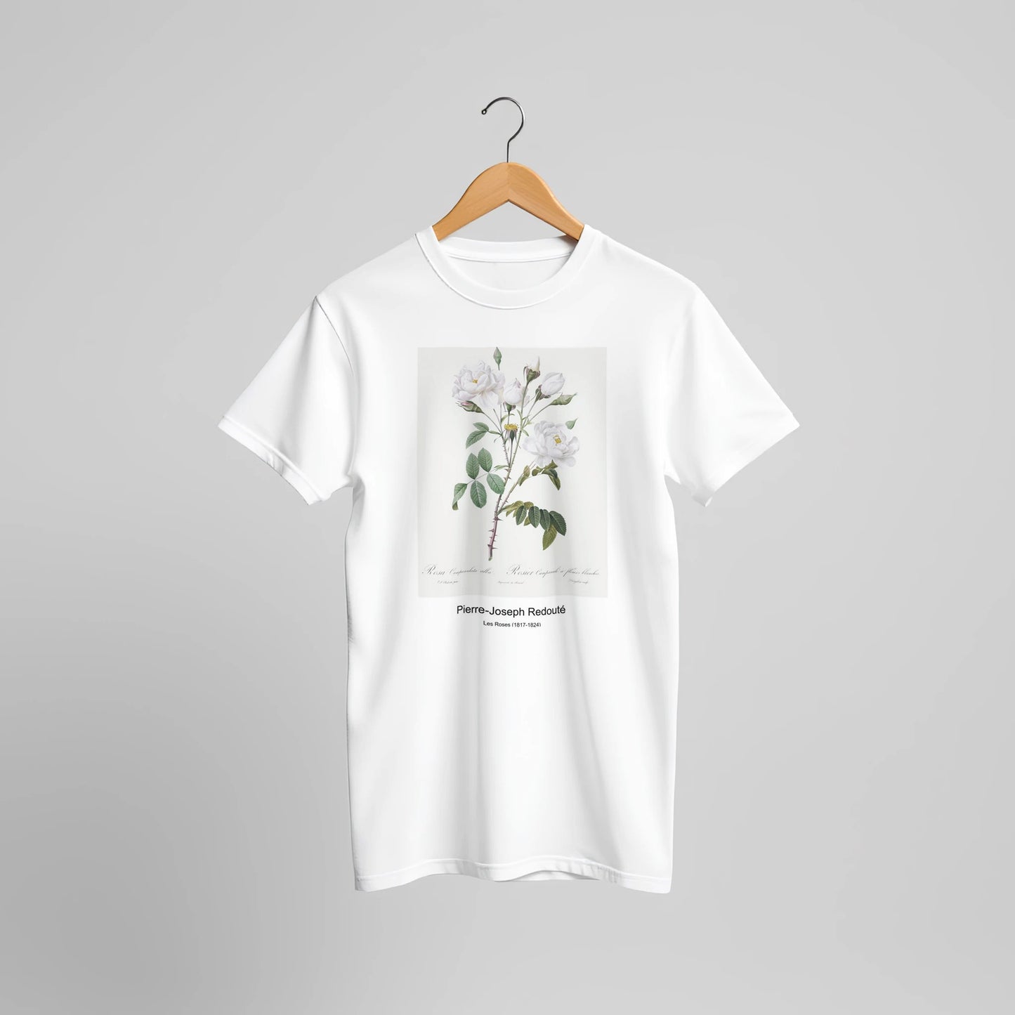 ba408315-47af-47dc-900f-a7971b5c7eef