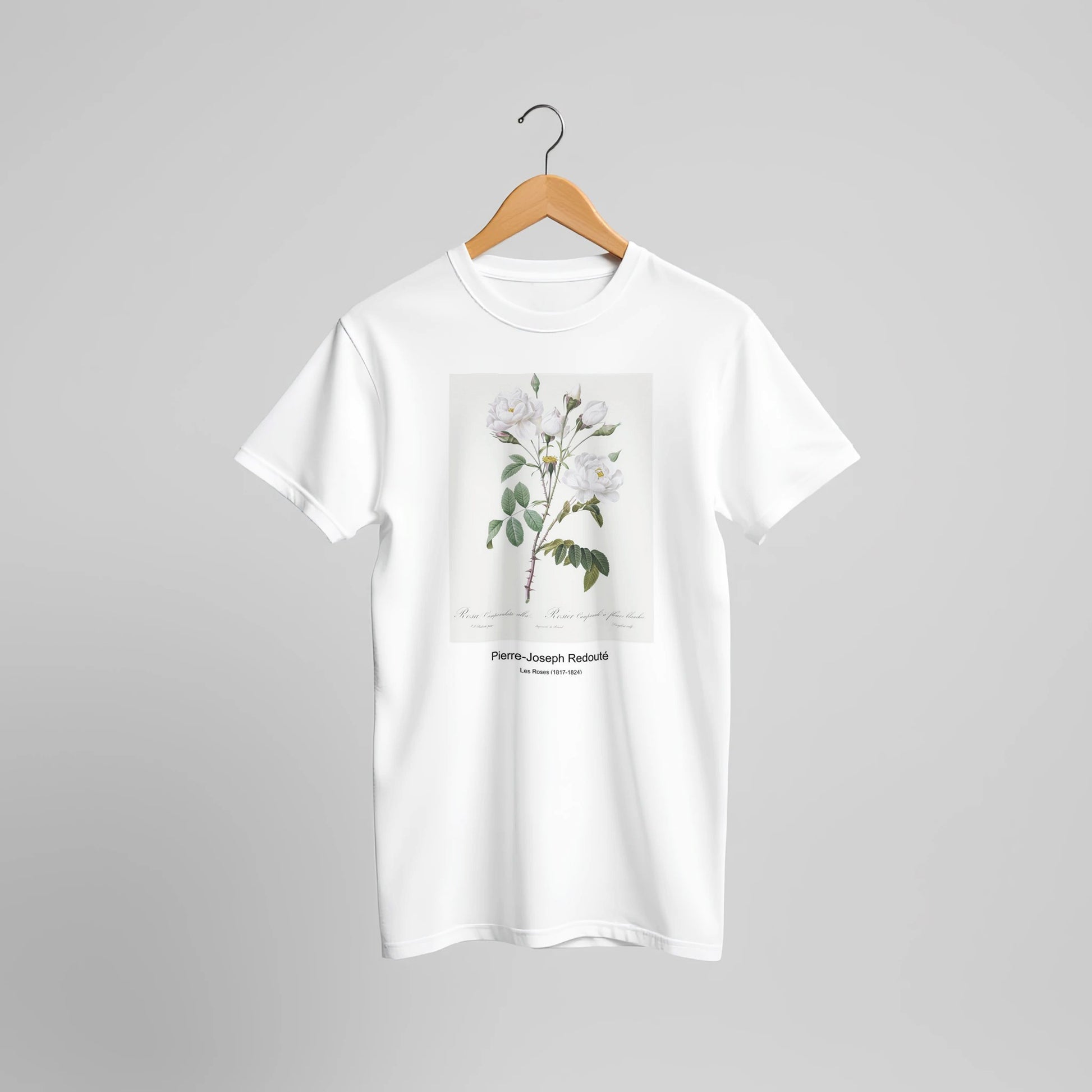 ba408315-47af-47dc-900f-a7971b5c7eef