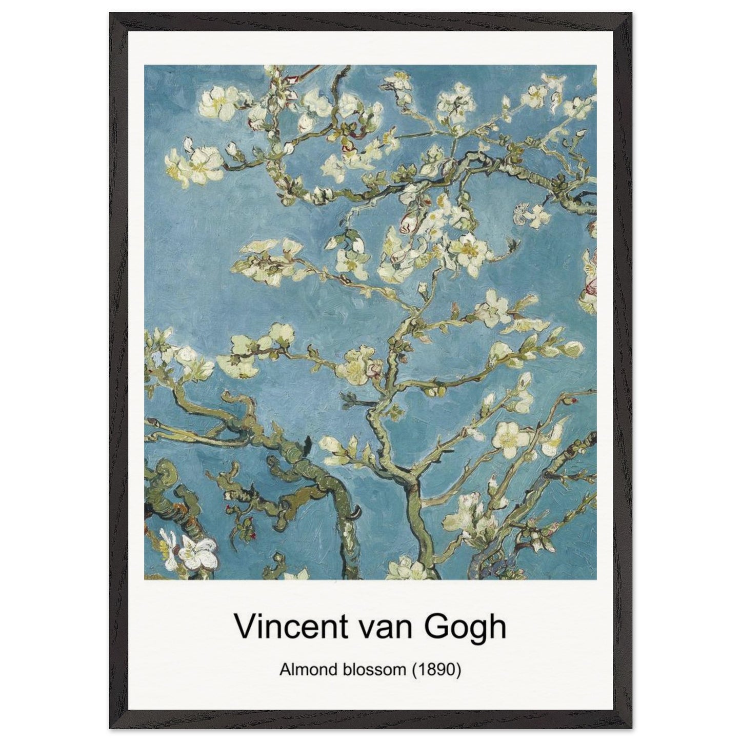 ba4b74d0-d18c-4094-8c05-46c57396feb6