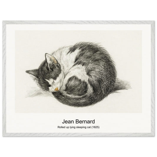 ba5ac117-4fbb-479f-b886-68037c51df99