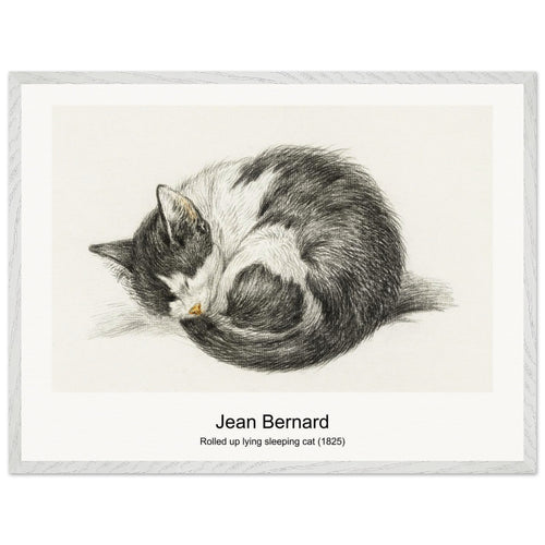 Rolled up lying sleeping cat (1825) by Jean Bernard. Archival Print on Museum Quality Matte Paper. Premium Wood Framed Wall Art. Original Aspect Ratio