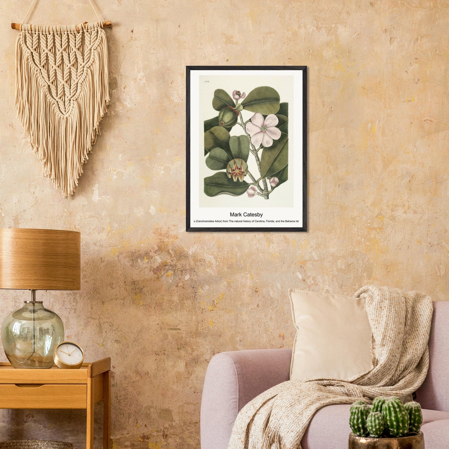 ba5d42c5-a185-48f7-ae98-df3774c21916