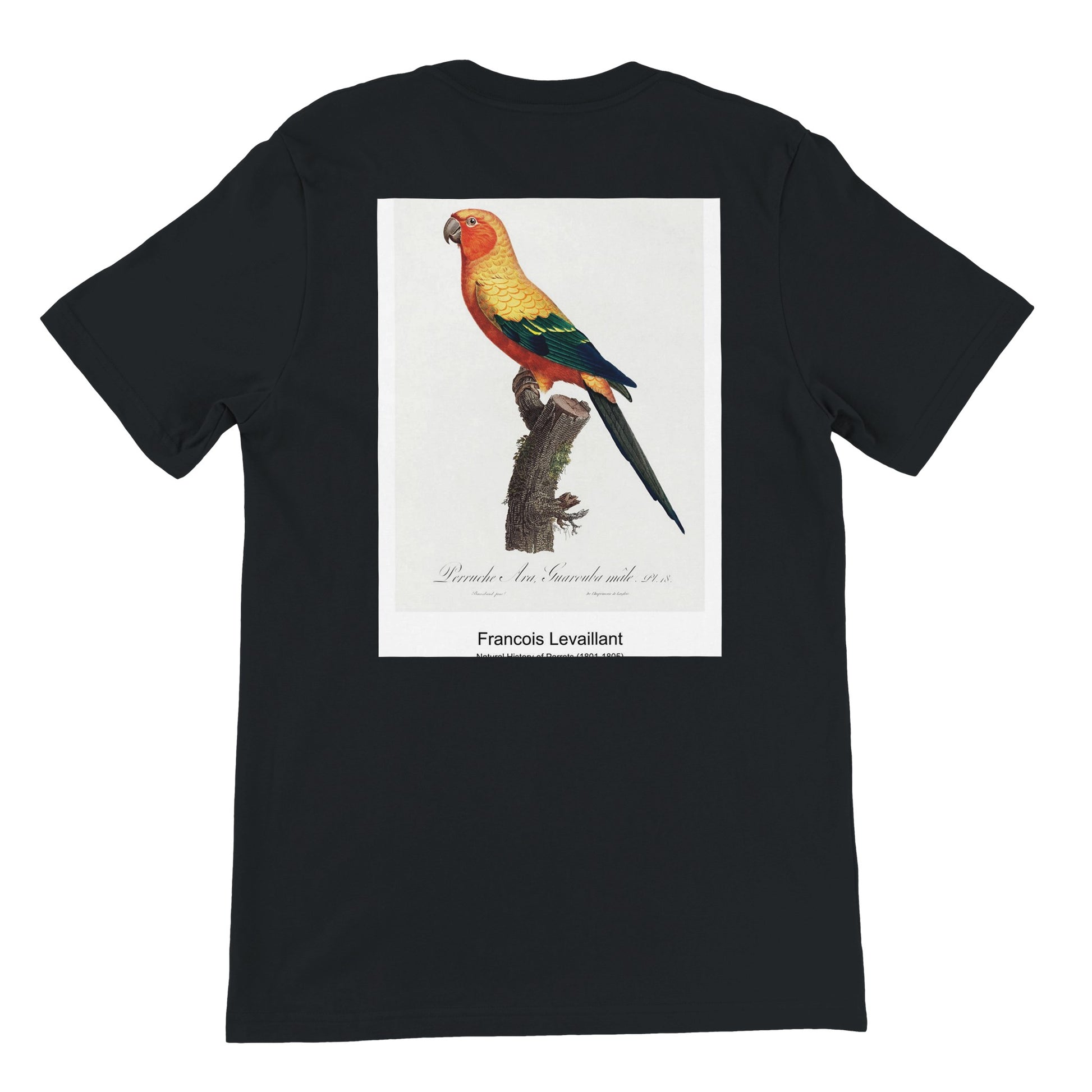 bae7c270-841e-469f-aba5-2b908b624765