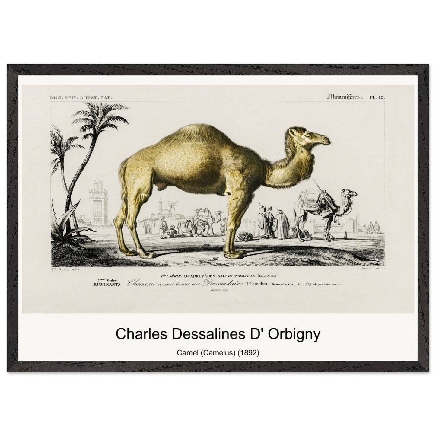 bb435c74-f068-4af9-8412-ecb4790e62ef