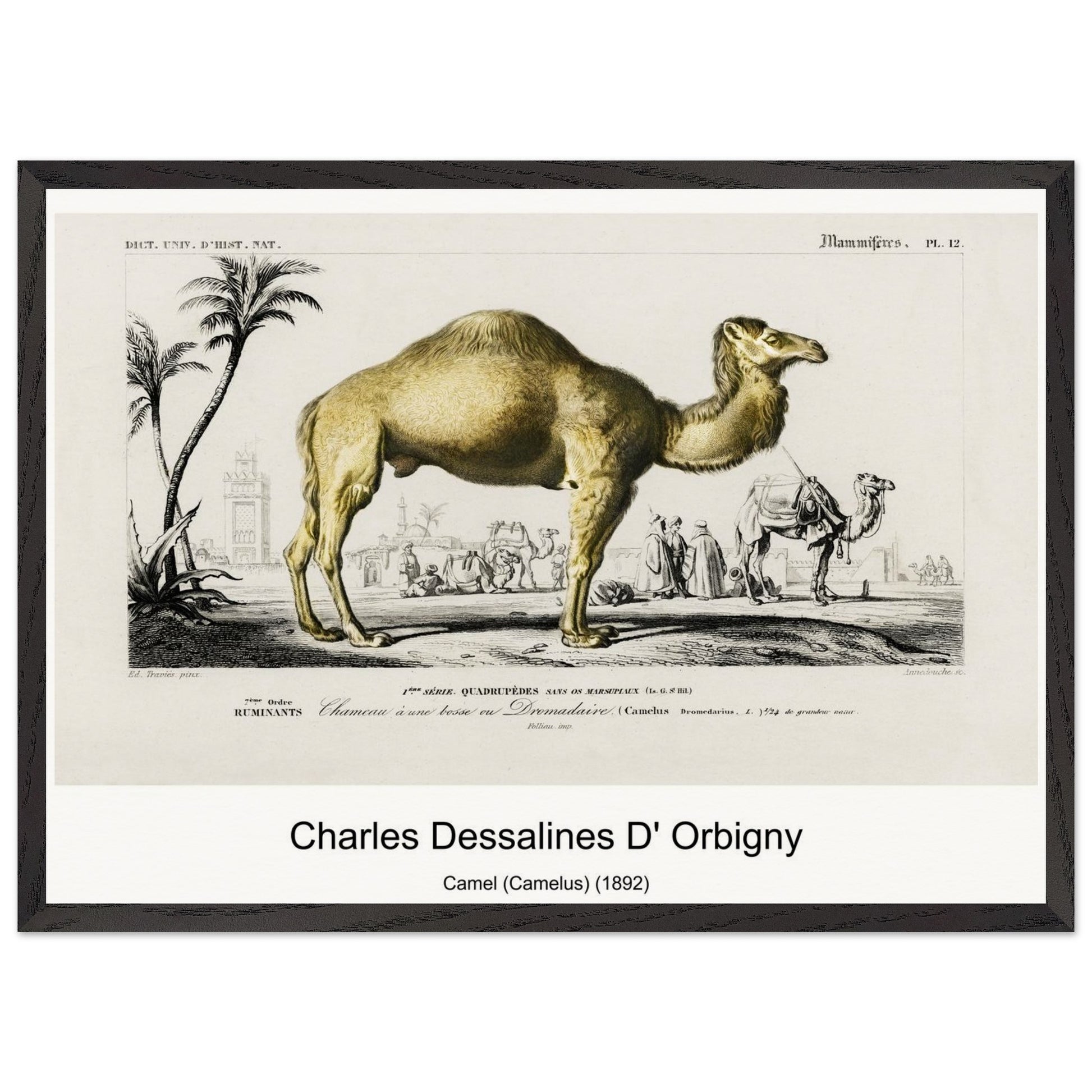 bb435c74-f068-4af9-8412-ecb4790e62ef