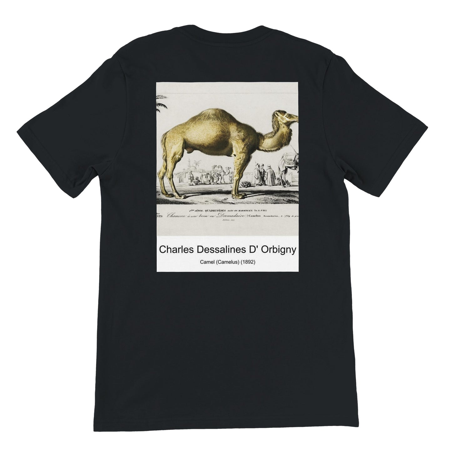 bc761cbf-8495-4f7a-a1d2-730b97a65a6b