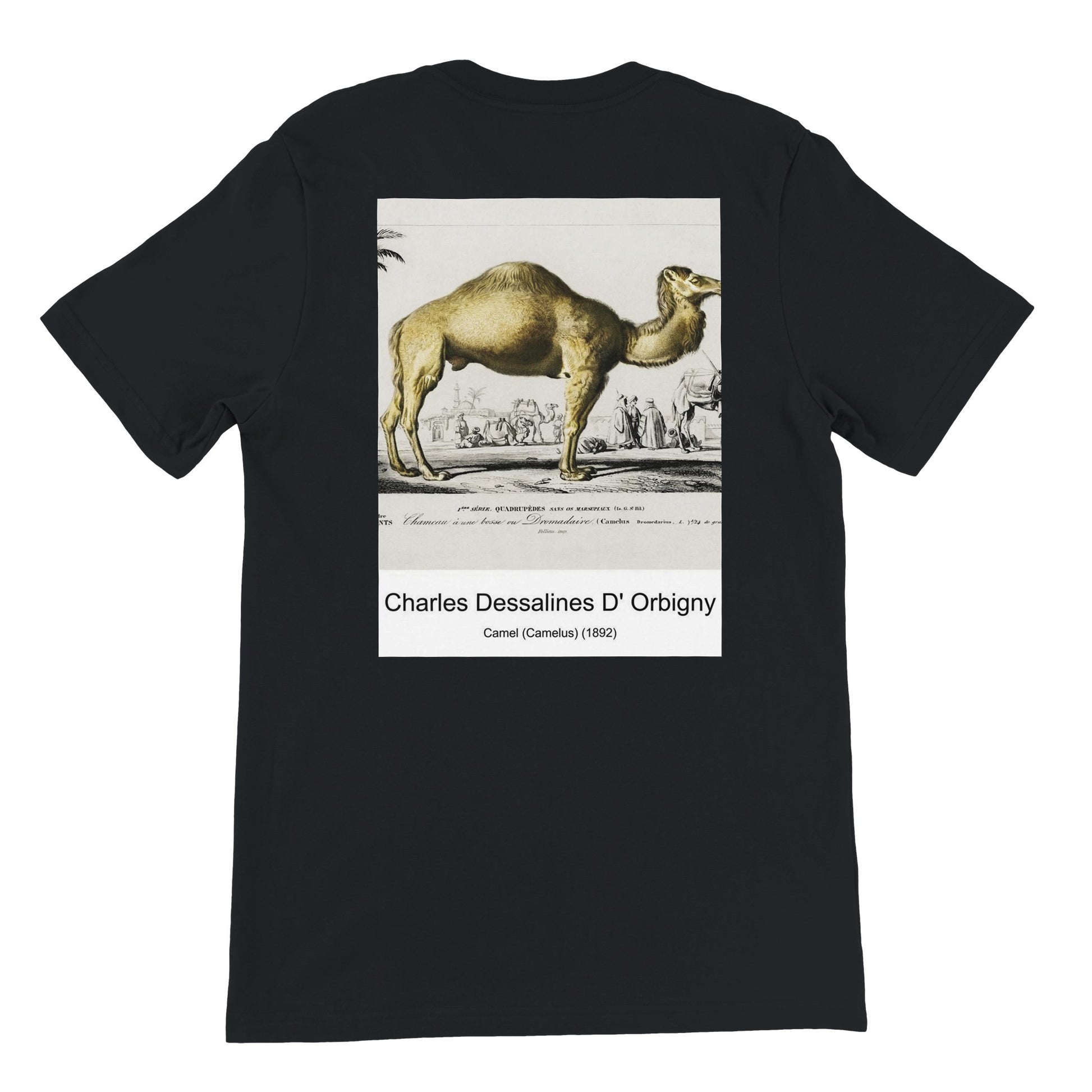 bc761cbf-8495-4f7a-a1d2-730b97a65a6b