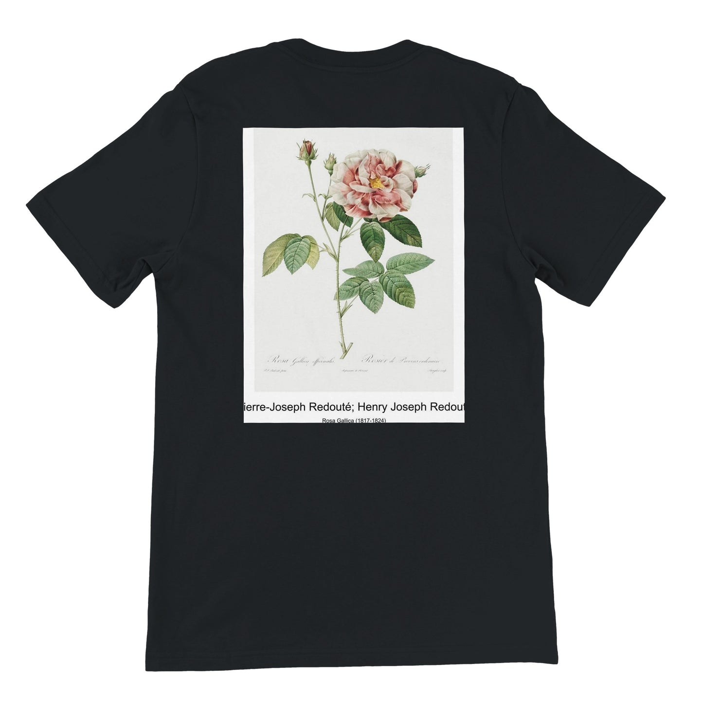 bcece934-519e-438c-a7ca-df9f519135e6