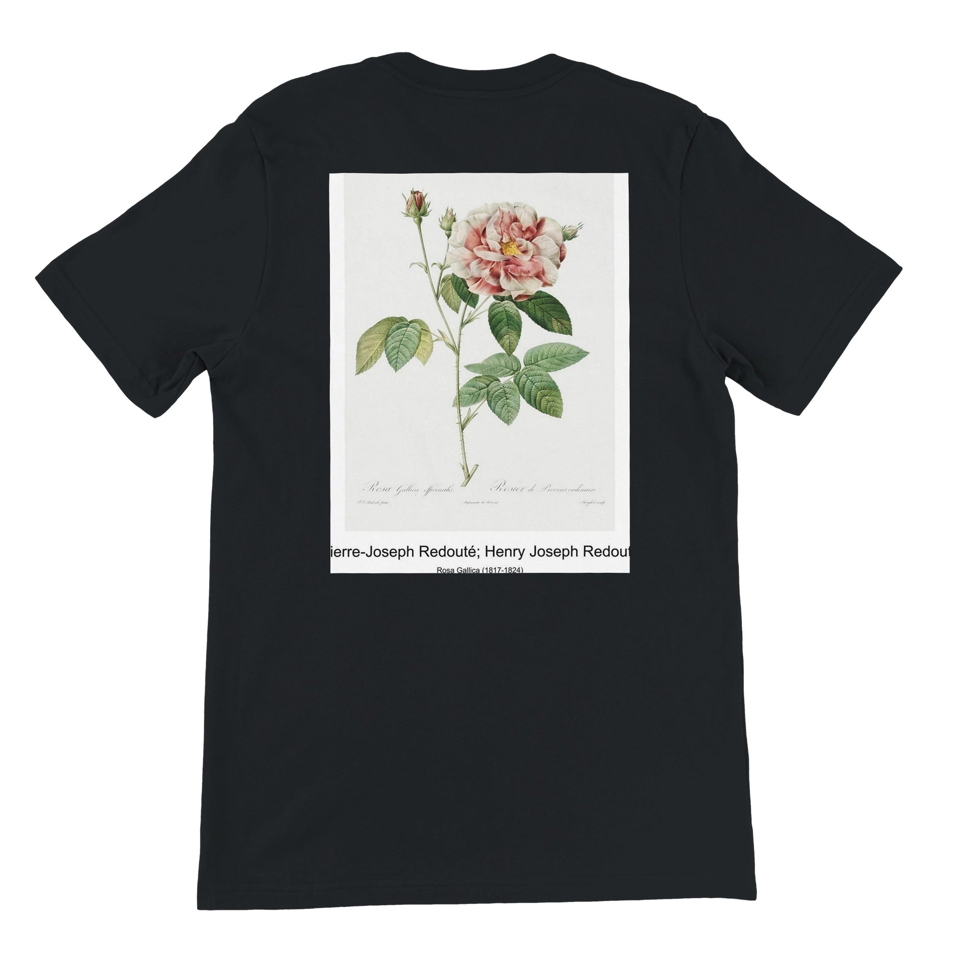 bcece934-519e-438c-a7ca-df9f519135e6