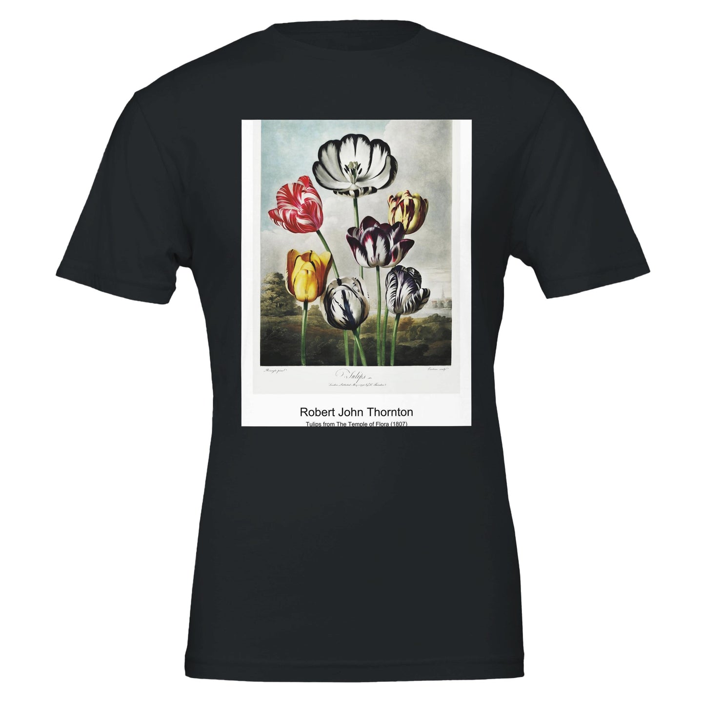 bd0054d2-f474-4334-83c1-814588d3037c