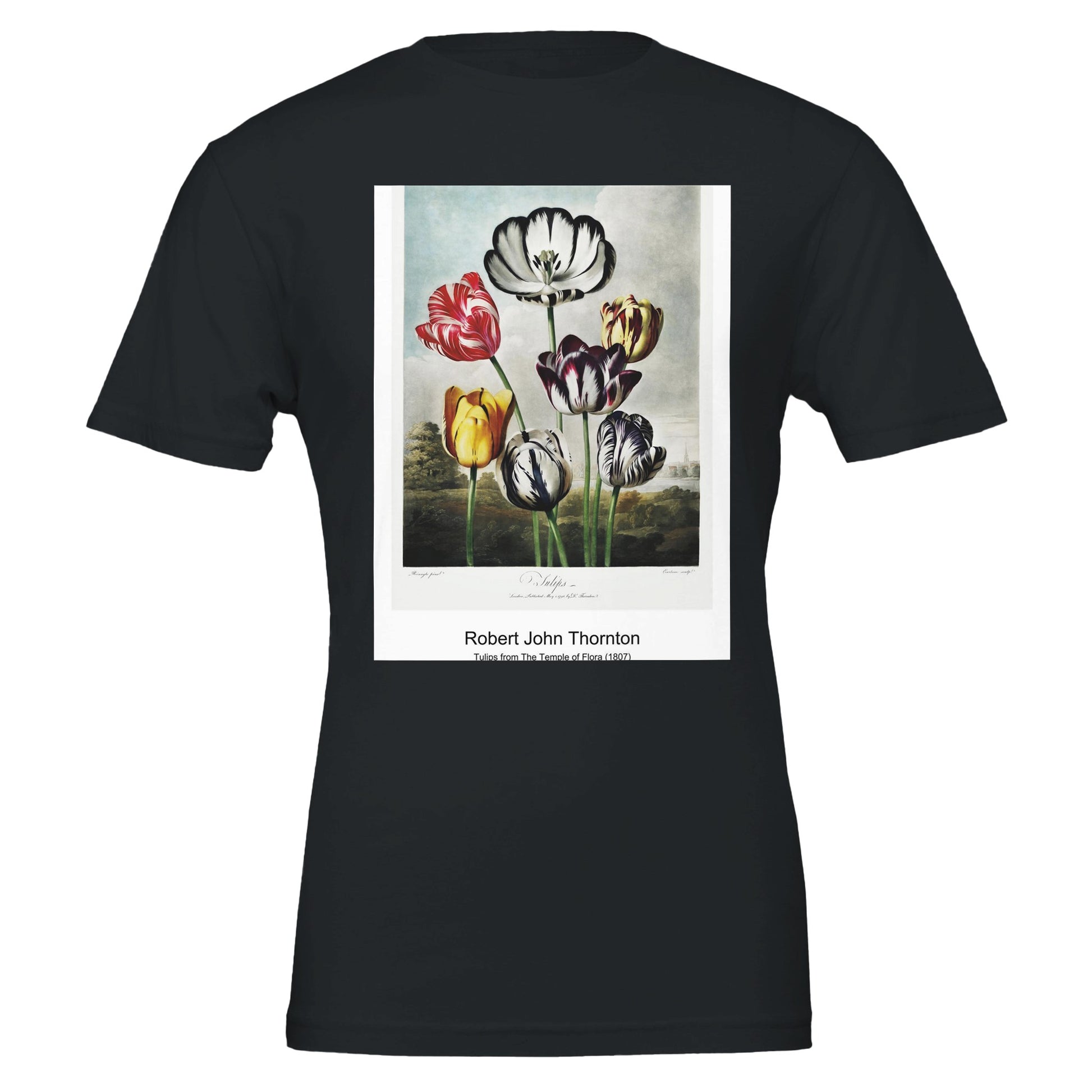 bd0054d2-f474-4334-83c1-814588d3037c