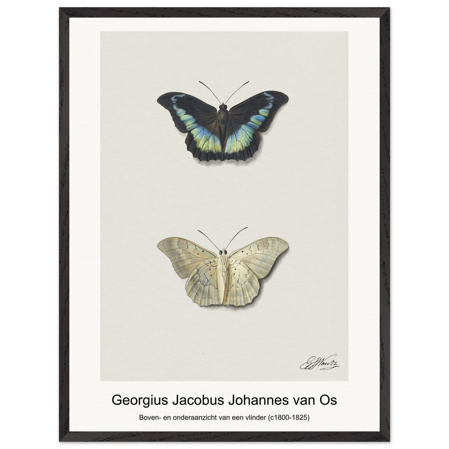 bd1696e9-321c-43b5-a7c3-a7997e9b3330