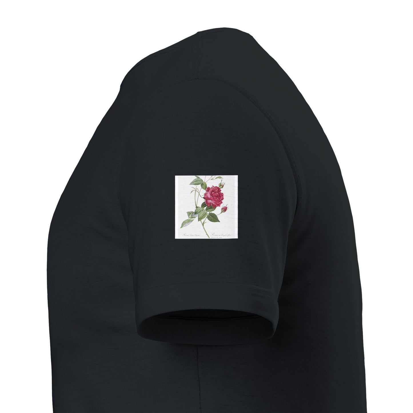 bdcd4f6b-4baf-44f9-b1c3-232bfa392d68