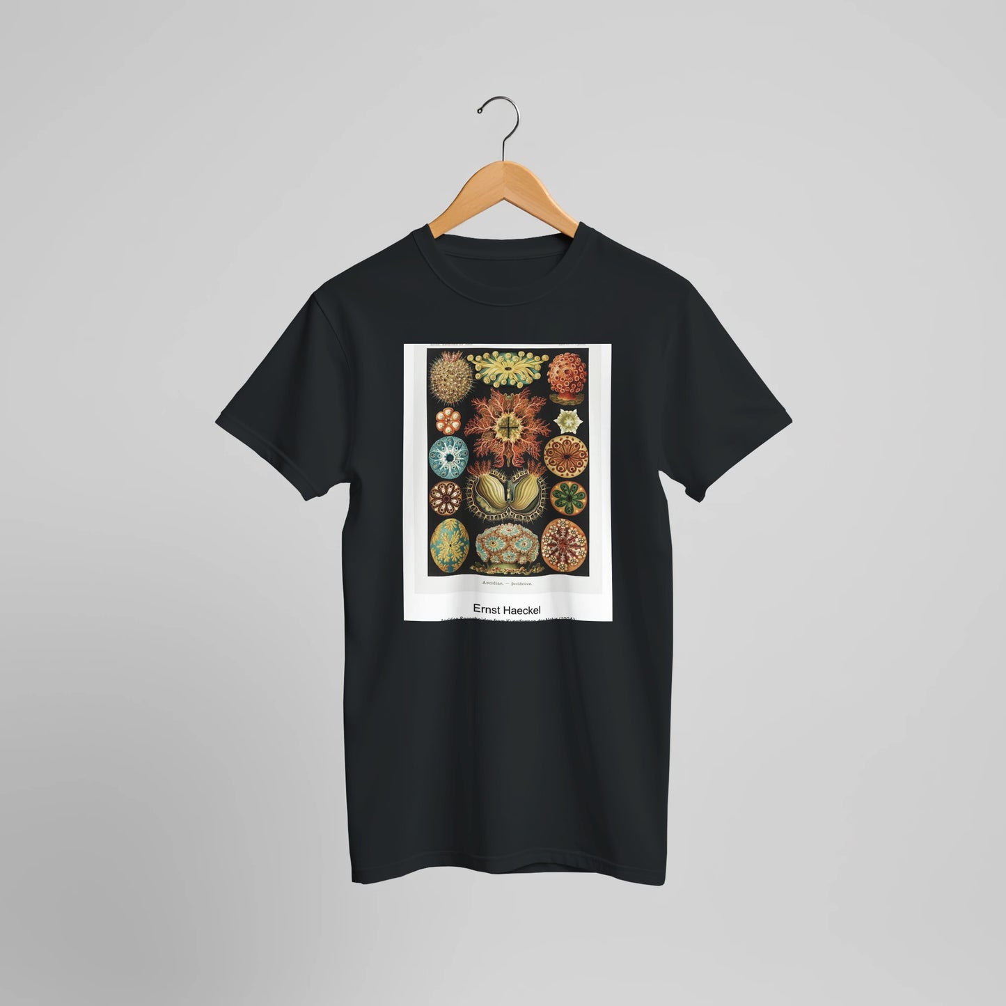 be5614ef-2c73-4504-be09-45cbc2910908