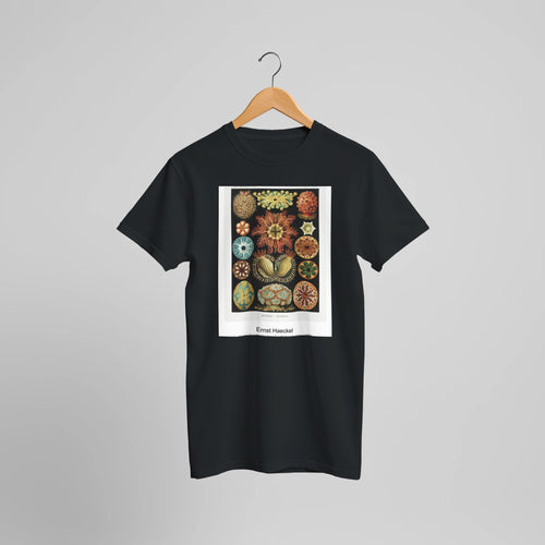 Ascidiae-Seescheiden from Kunstformen der Natur (1904) by Ernst Haeckel. Custom Print on a 100% Airlume Combed and Ring-Spun Cotton Unisex Crewneck T-shirt Optimised Aspect Ratio.