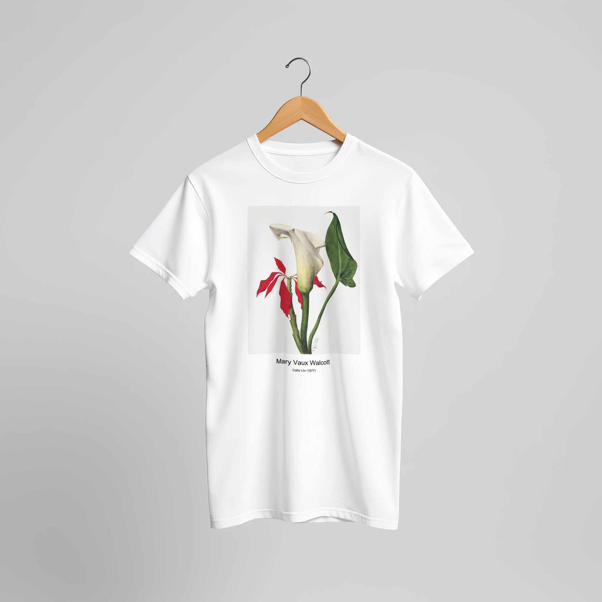 be708092-4834-4995-bc8b-c113e9ba8a4b