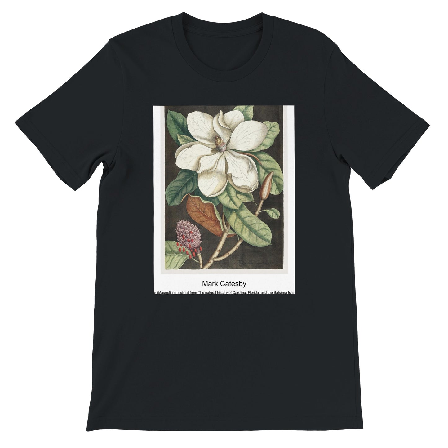 bf276717-1d17-4055-8f41-585a4a370d8c