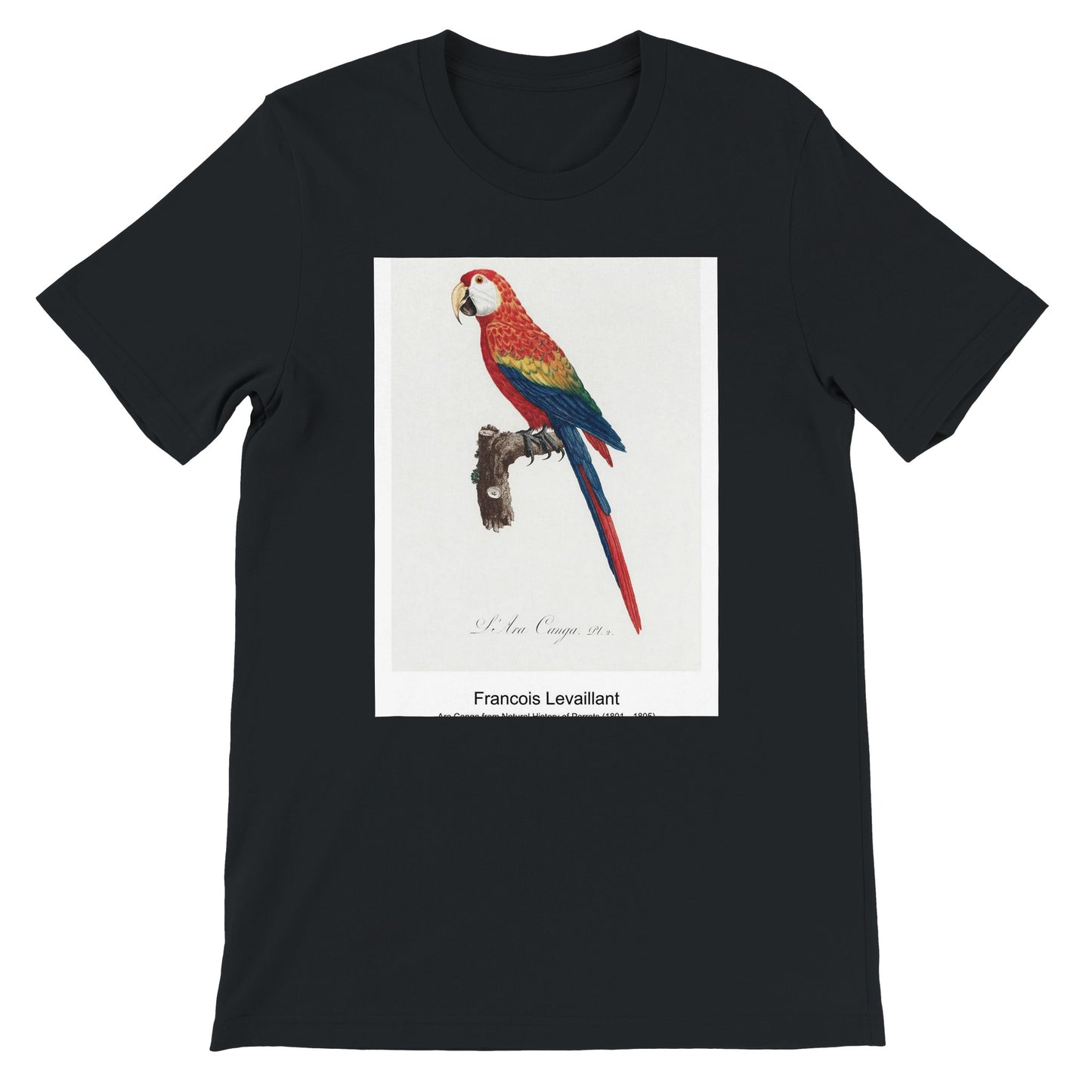 bf879089-2c4e-45b1-9243-82f2f22ed6d2