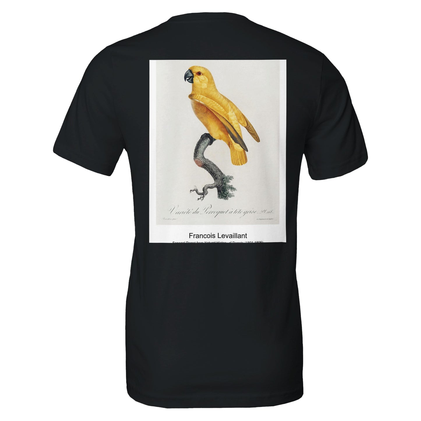 bfbb577e-e5dd-4889-a917-8646524060b8