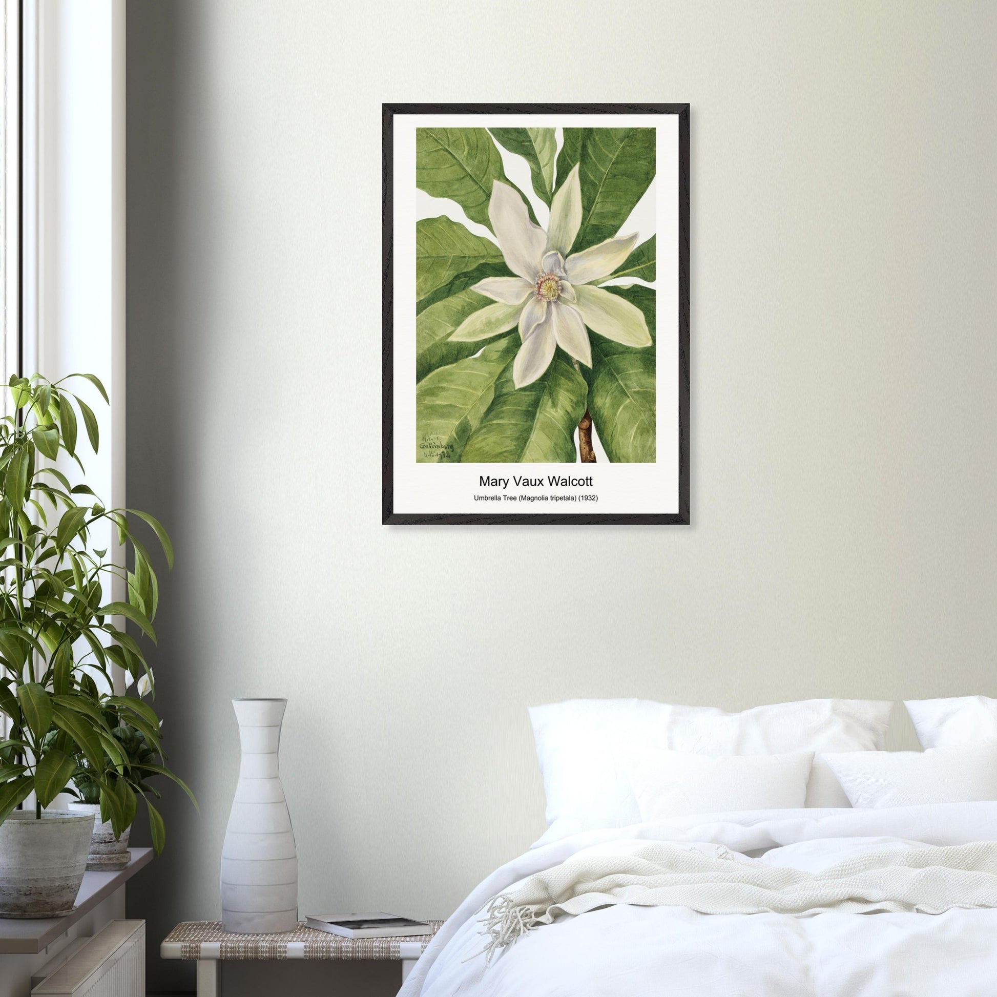 c0090051-76ed-471c-ae7b-475b9eed4e58