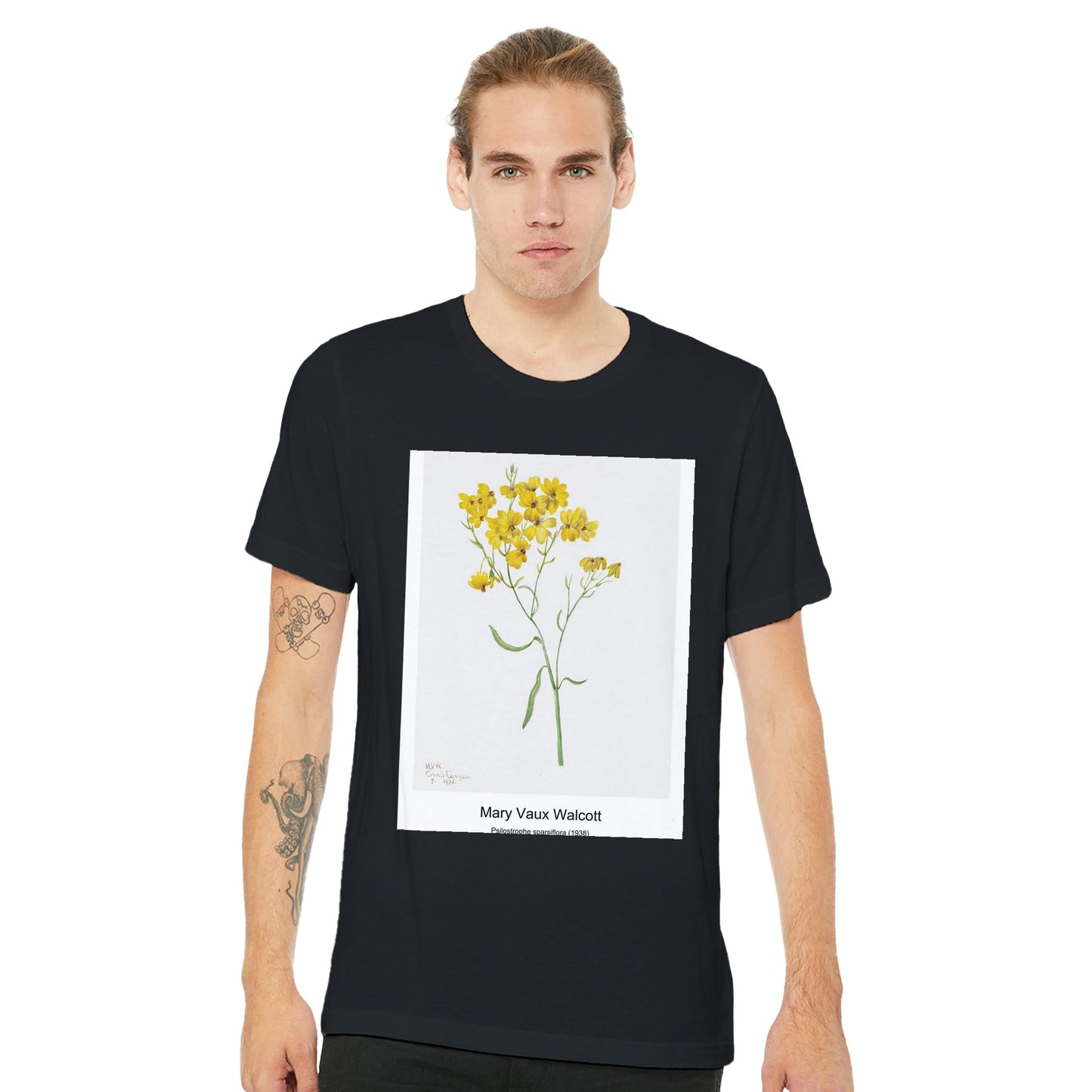 c0131ac4-0b89-405b-a40f-e40557a6958c