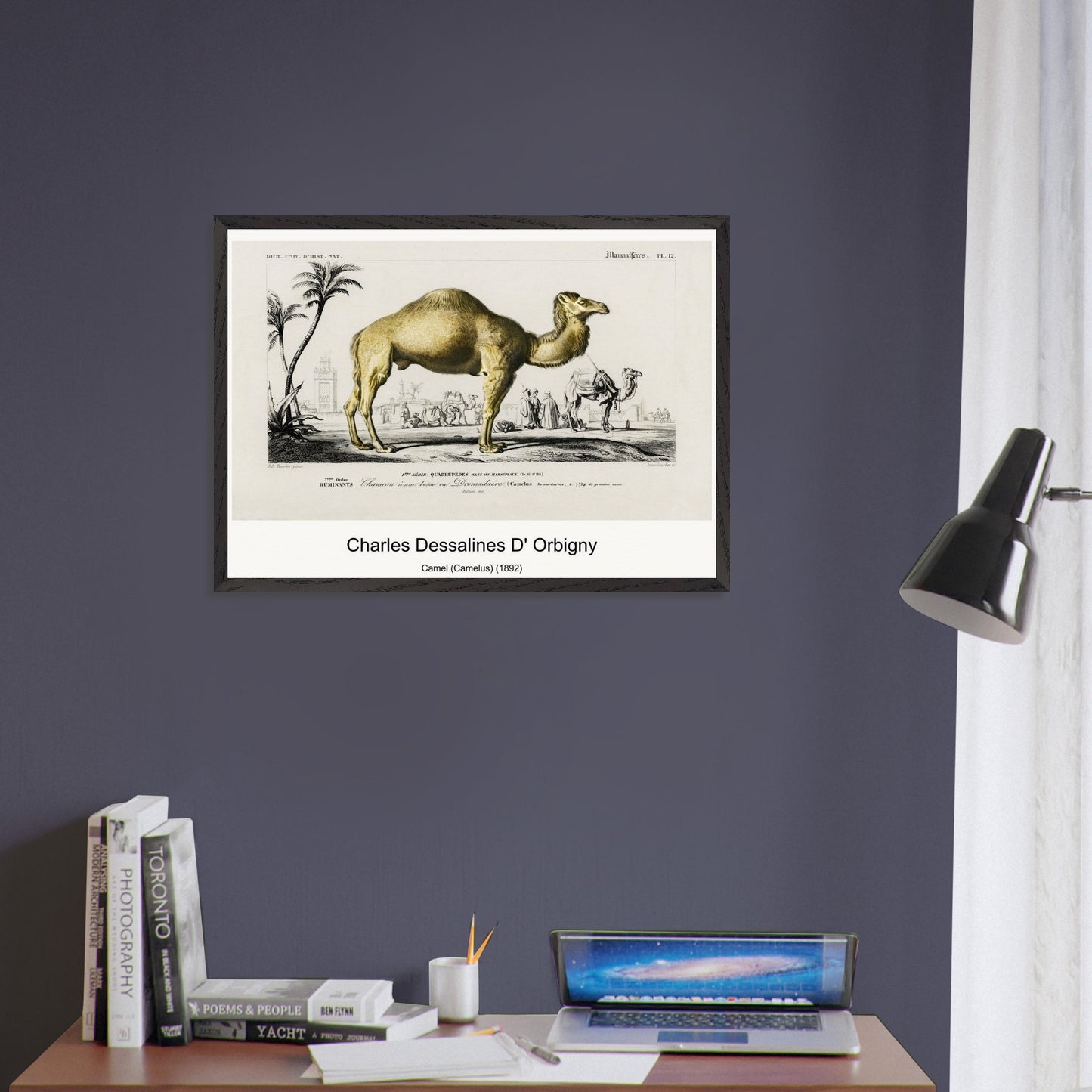 c06bc917-837f-404e-b279-af8b39580cda