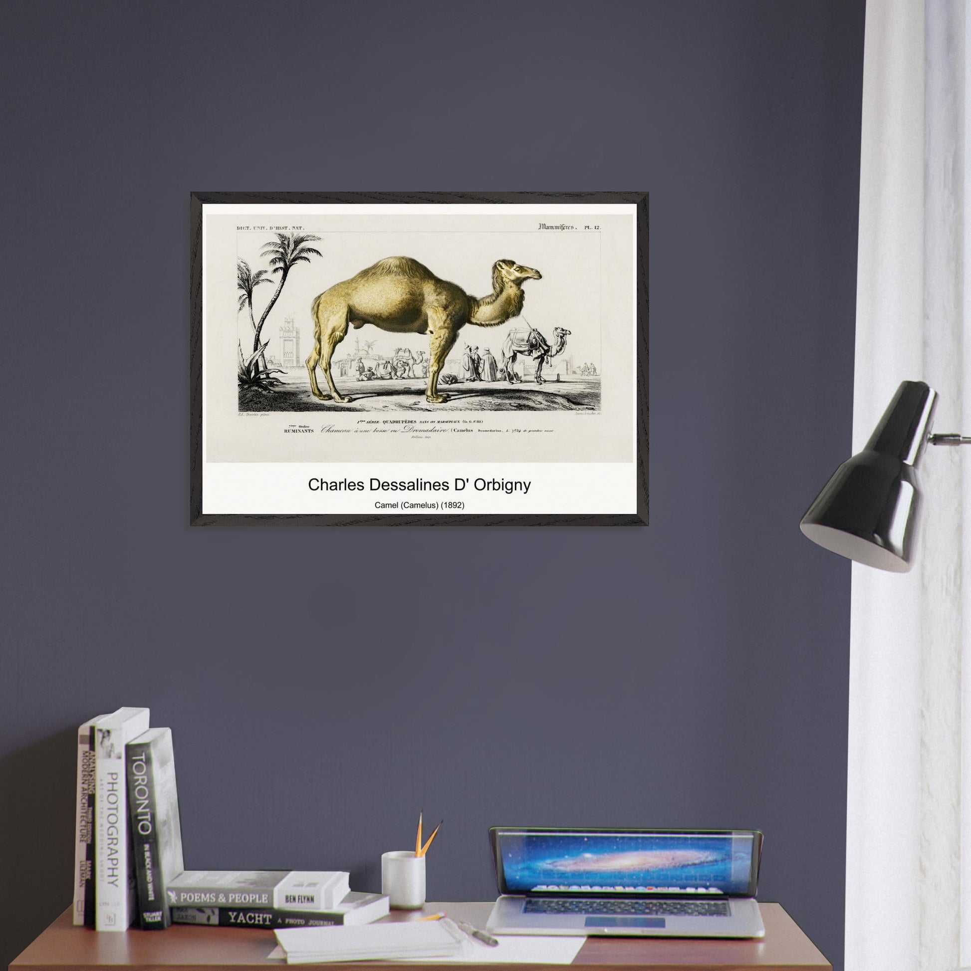 c06bc917-837f-404e-b279-af8b39580cda