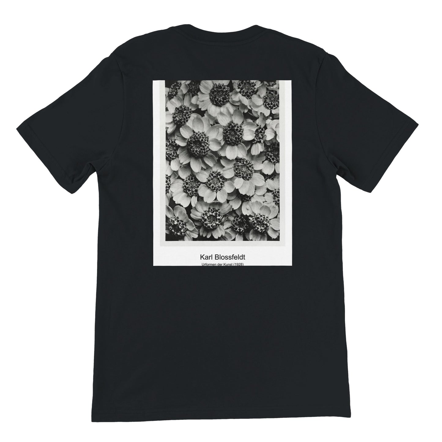 c1161ff2-56aa-49a7-beed-6272b6c2b2de