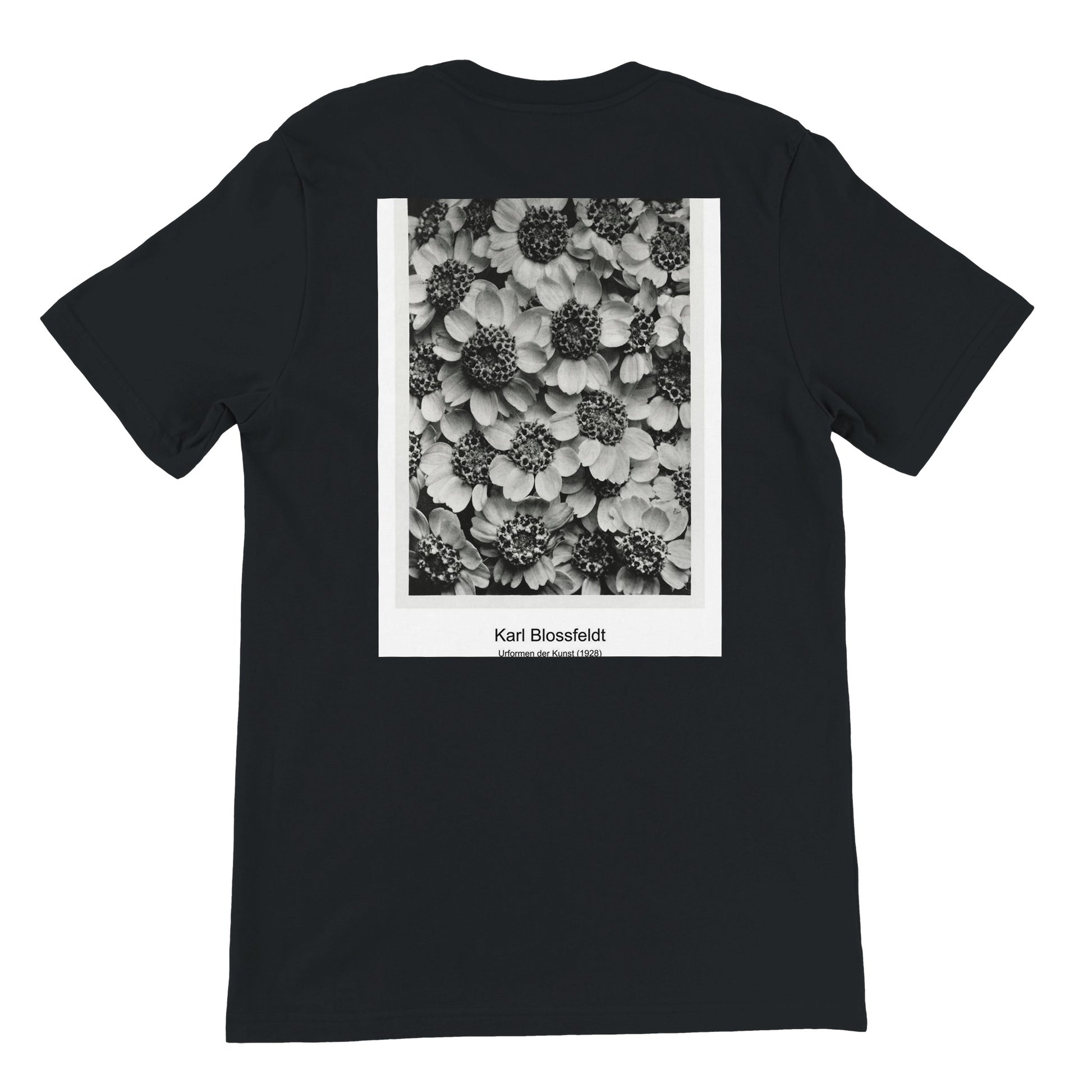 c1161ff2-56aa-49a7-beed-6272b6c2b2de