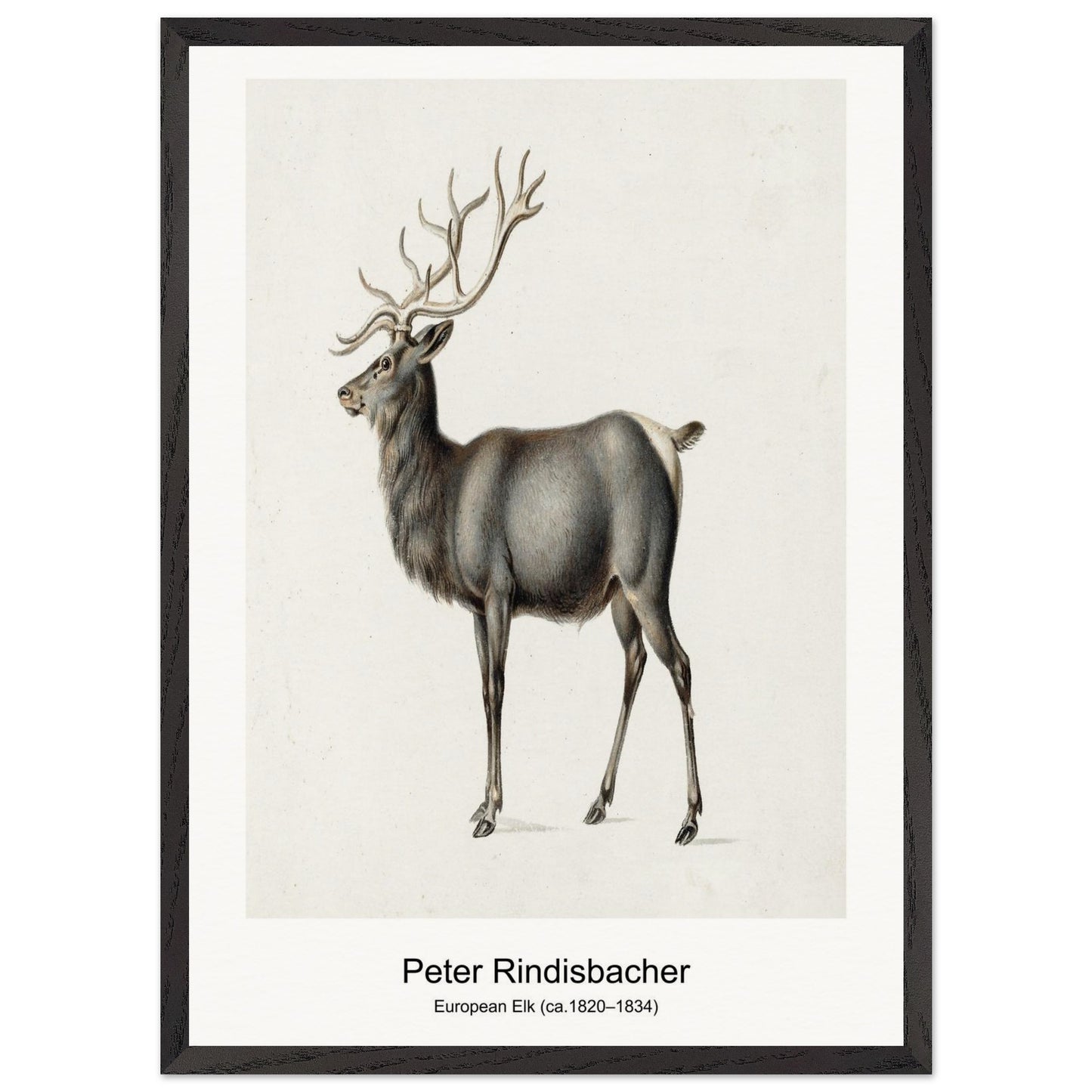 c169daea-967d-40ee-96e1-6d16d08c5c2c