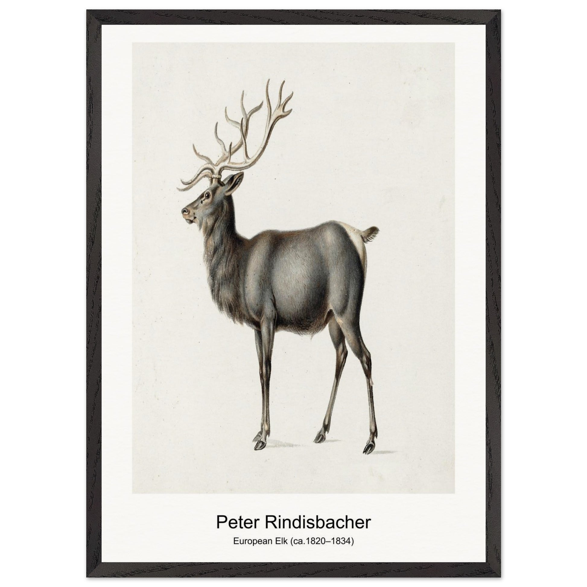 c169daea-967d-40ee-96e1-6d16d08c5c2c