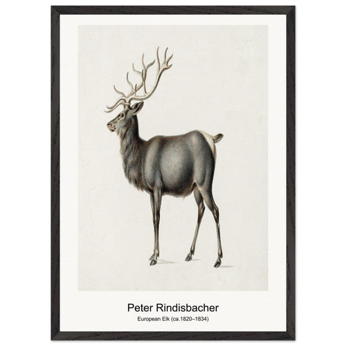 Trees in Bird Garden, Iver Heath (1913) by Paul Nash. Archival Print on Museum Quality Matte Paper. Premium Wood Framed Wall Art. Optimised Aspect Ratio.