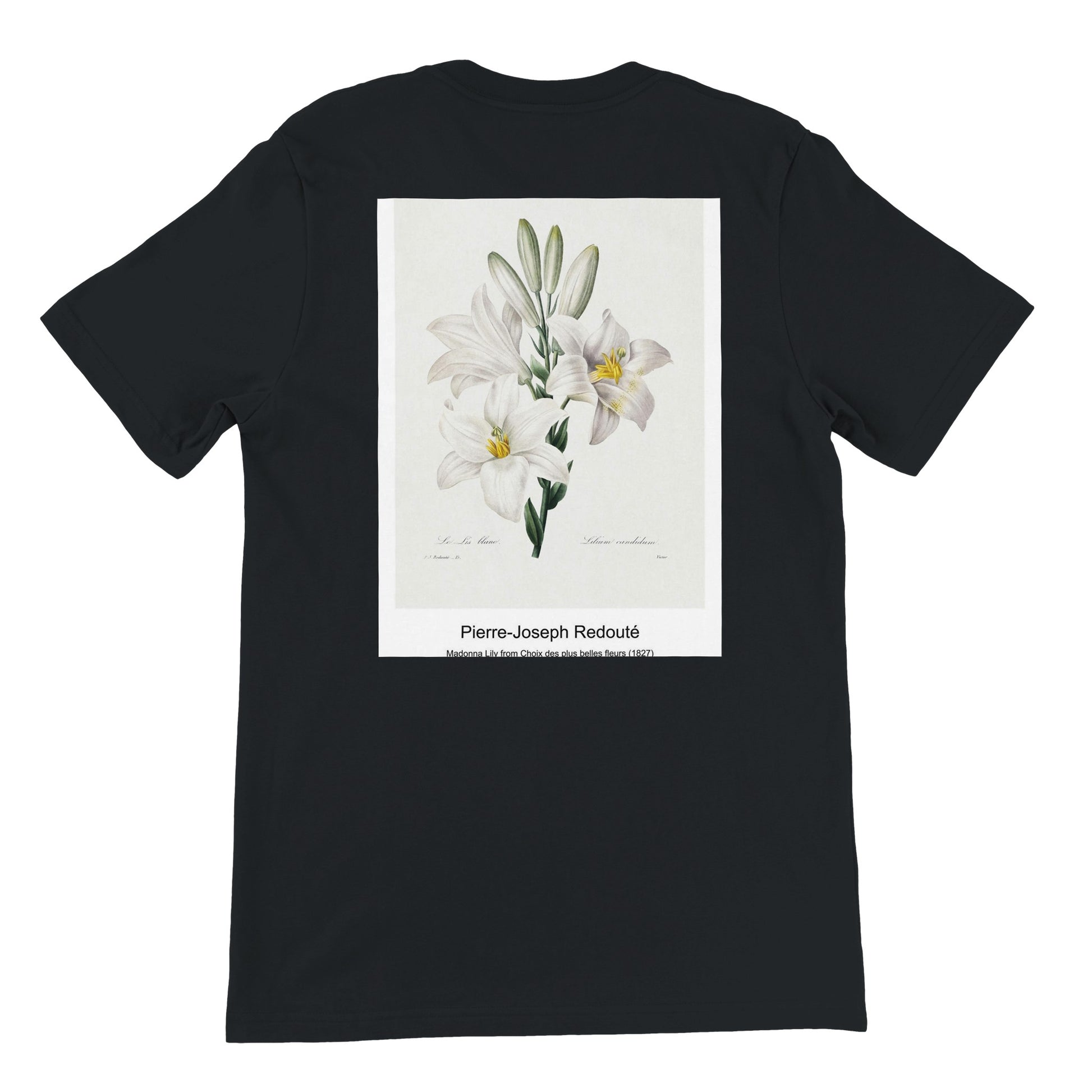 c1c8c8ac-f019-47dc-aa42-0513ff4e42f3